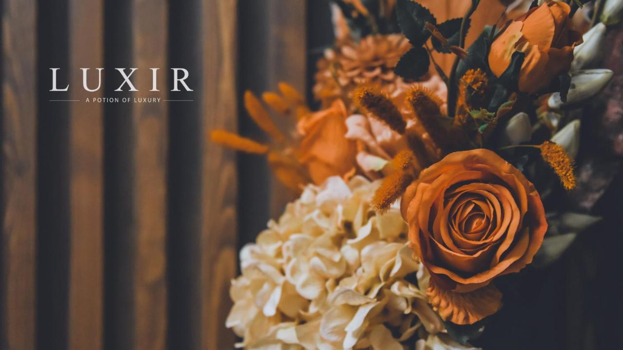 Luxir Hotel Istanbul Ngoại thất bức ảnh